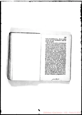 Fotogramma A 10
