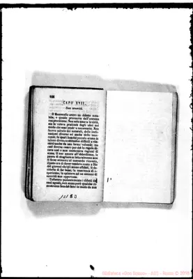 Fotogramma B 3
