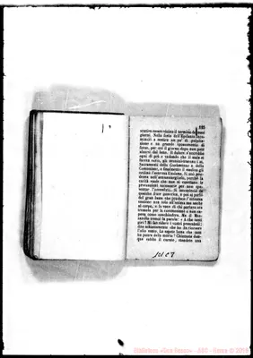 Fotogramma C 8