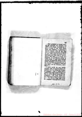Fotogramma C 10