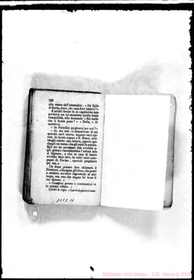 Fotogramma C 11
