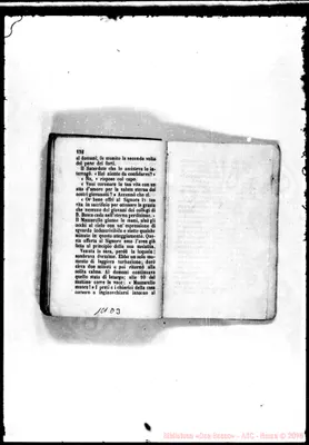 Fotogramma D 3