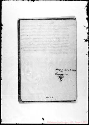Fotogramma C 1