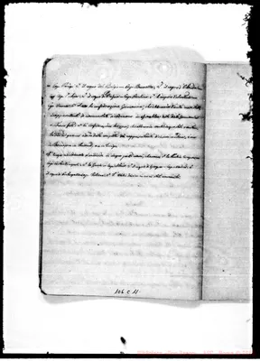 Fotogramma C 11