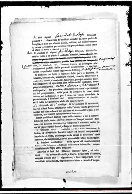 Fotogramma A 11