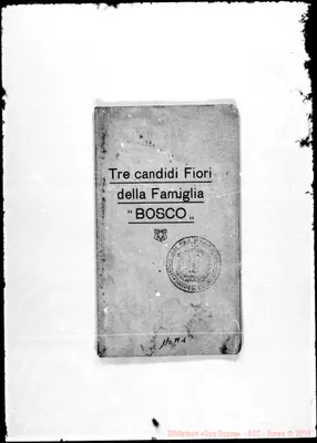 Fotogramma A 1