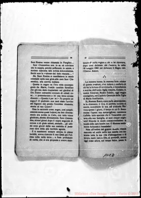 Fotogramma C 2