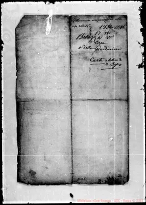 Fotogramma D 5