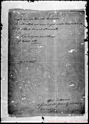 Fotogramma C 5
