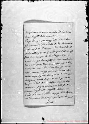 Fotogramma C 11