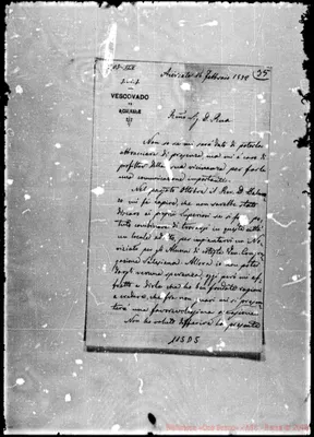 Fotogramma D 5