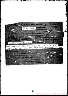Fotogramma E 8