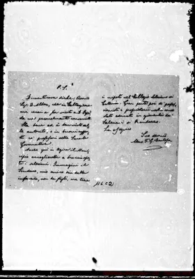 Fotogramma C 2