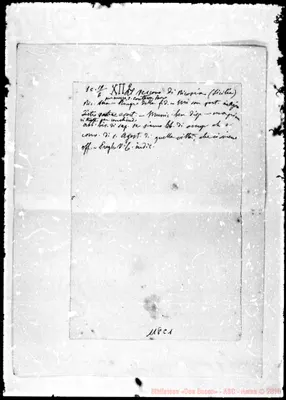 Fotogramma C 1