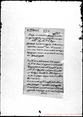Fotogramma C 5