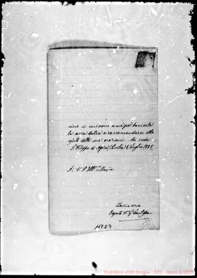 Fotogramma D 3