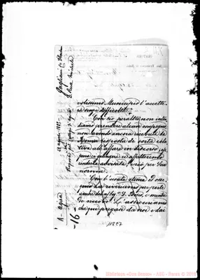 Fotogramma E 7