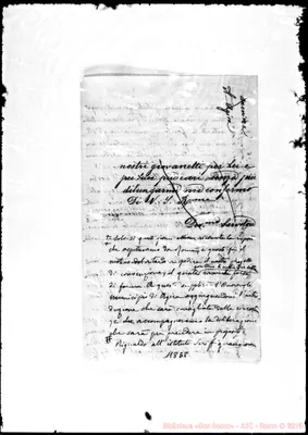 Fotogramma E 8