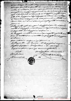 Fotogramma B 8
