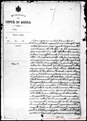 Fotogramma D 11
