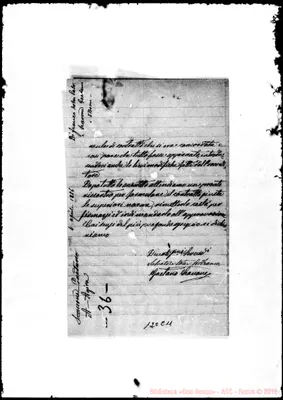 Fotogramma C 11