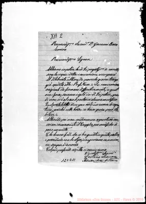 Fotogramma D 11