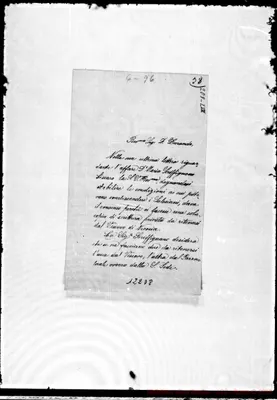 Fotogramma D 8
