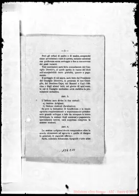 Fotogramma C 10