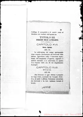 Fotogramma C 2