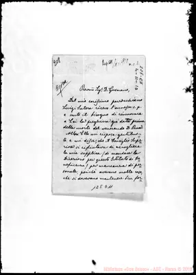 Fotogramma D 11