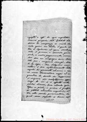 Fotogramma C 11