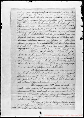Fotogramma C 11
