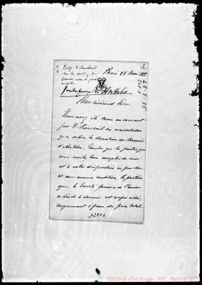 Fotogramma C 1