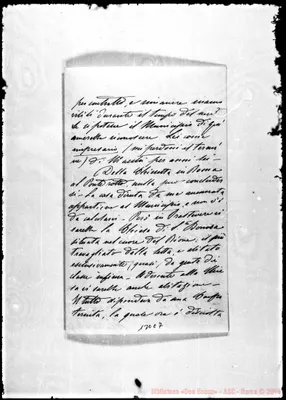Fotogramma C 7