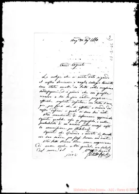Fotogramma C 2