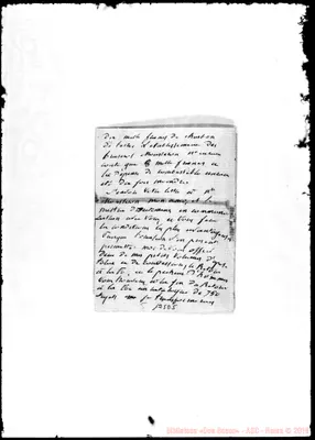 Fotogramma D 5