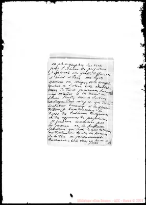 Fotogramma D 6