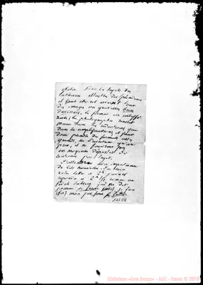 Fotogramma D 8