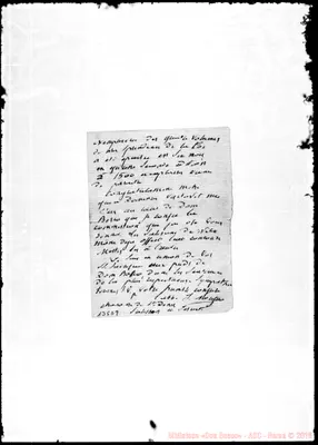 Fotogramma D 9