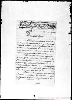 Fotogramma E 8