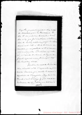Fotogramma D 3