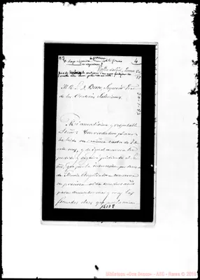 Fotogramma D 8