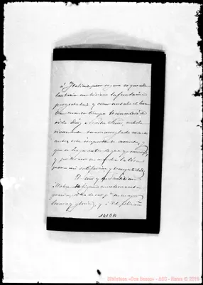 Fotogramma D 10