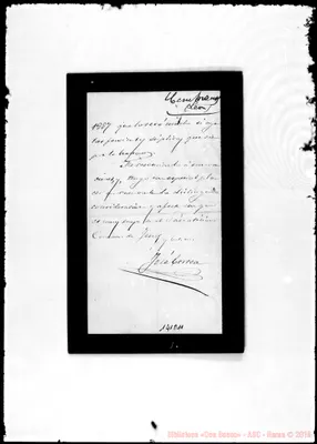 Fotogramma D 11