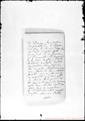 Fotogramma E 8