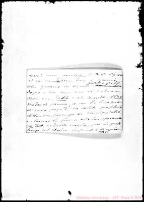 Fotogramma C 5