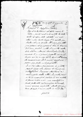 Fotogramma C 11