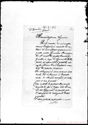 Fotogramma D 11