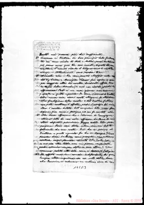 Fotogramma D 3