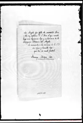 Fotogramma D 12